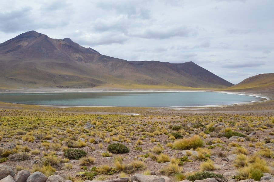 Lagune Atacama